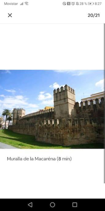 Apartamento En El Casco Antiguo Junto Alameda H. Seville Ngoại thất bức ảnh