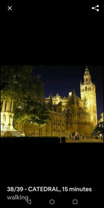 Apartamento En El Casco Antiguo Junto Alameda H. Seville Ngoại thất bức ảnh